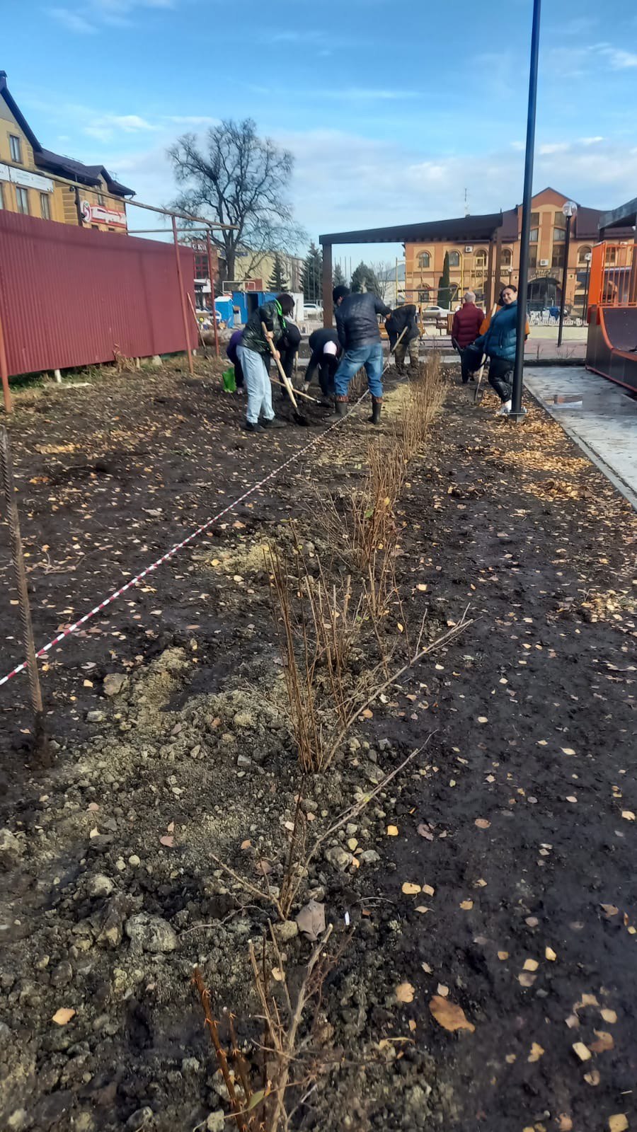 Озеленение Центральной площади в м. Свобода Озеленение Центральной площади в м. Свобода