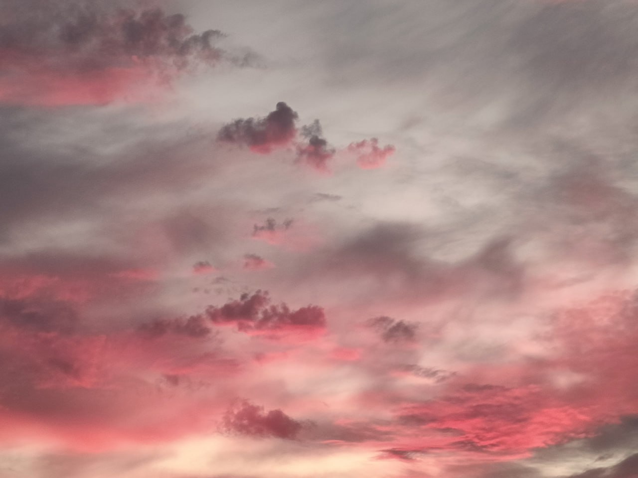 Ноябрьский рассвет. Фото: Елена Карманцева Ноябрьский рассвет. Фото: Елена Карманцева