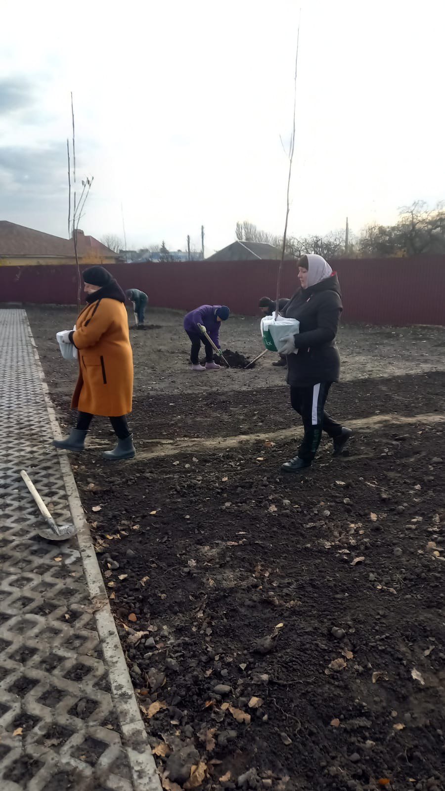 Озеленение Центральной площади в м. Свобода Озеленение Центральной площади в м. Свобода