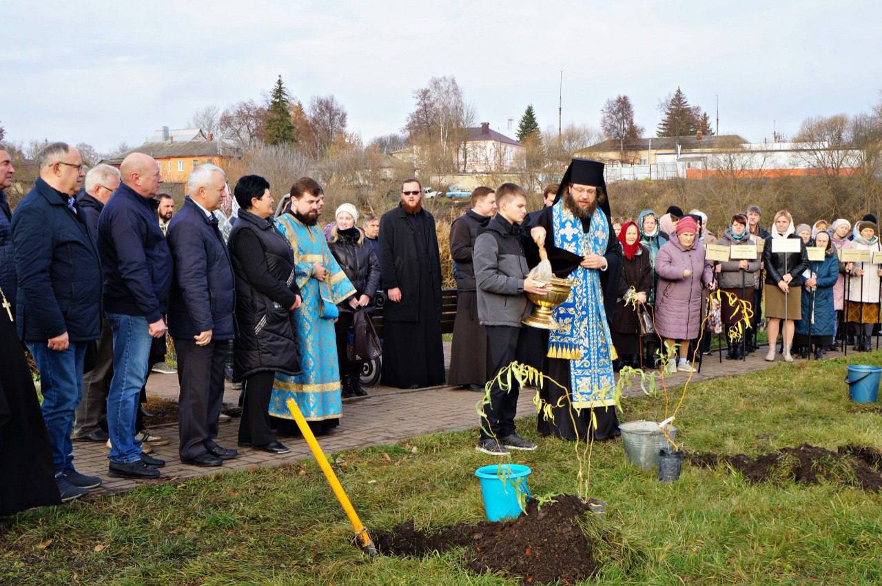 Единороссы посадили деревья в сквере Щигров Единороссы посадили деревья в сквере Щигров