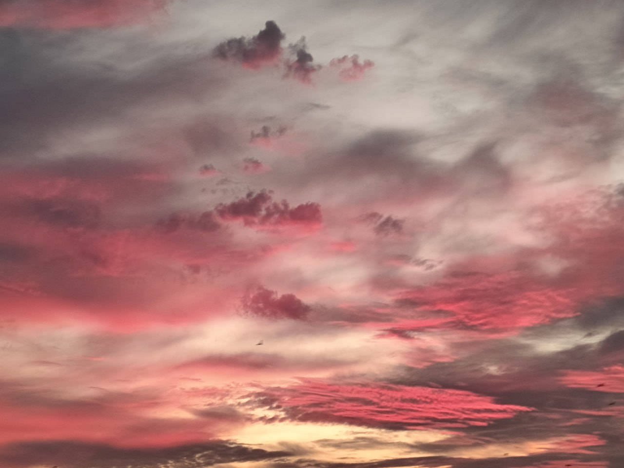 Ноябрьский рассвет. Фото: Елена Карманцева Ноябрьский рассвет. Фото: Елена Карманцева