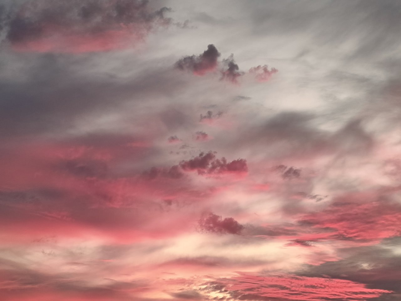 Ноябрьский рассвет. Фото: Елена Карманцева Ноябрьский рассвет. Фото: Елена Карманцева