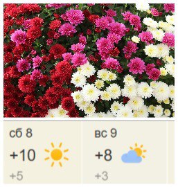 Друзья, предлагаем вашему вниманию прогноз погоды на предстоящие выходные