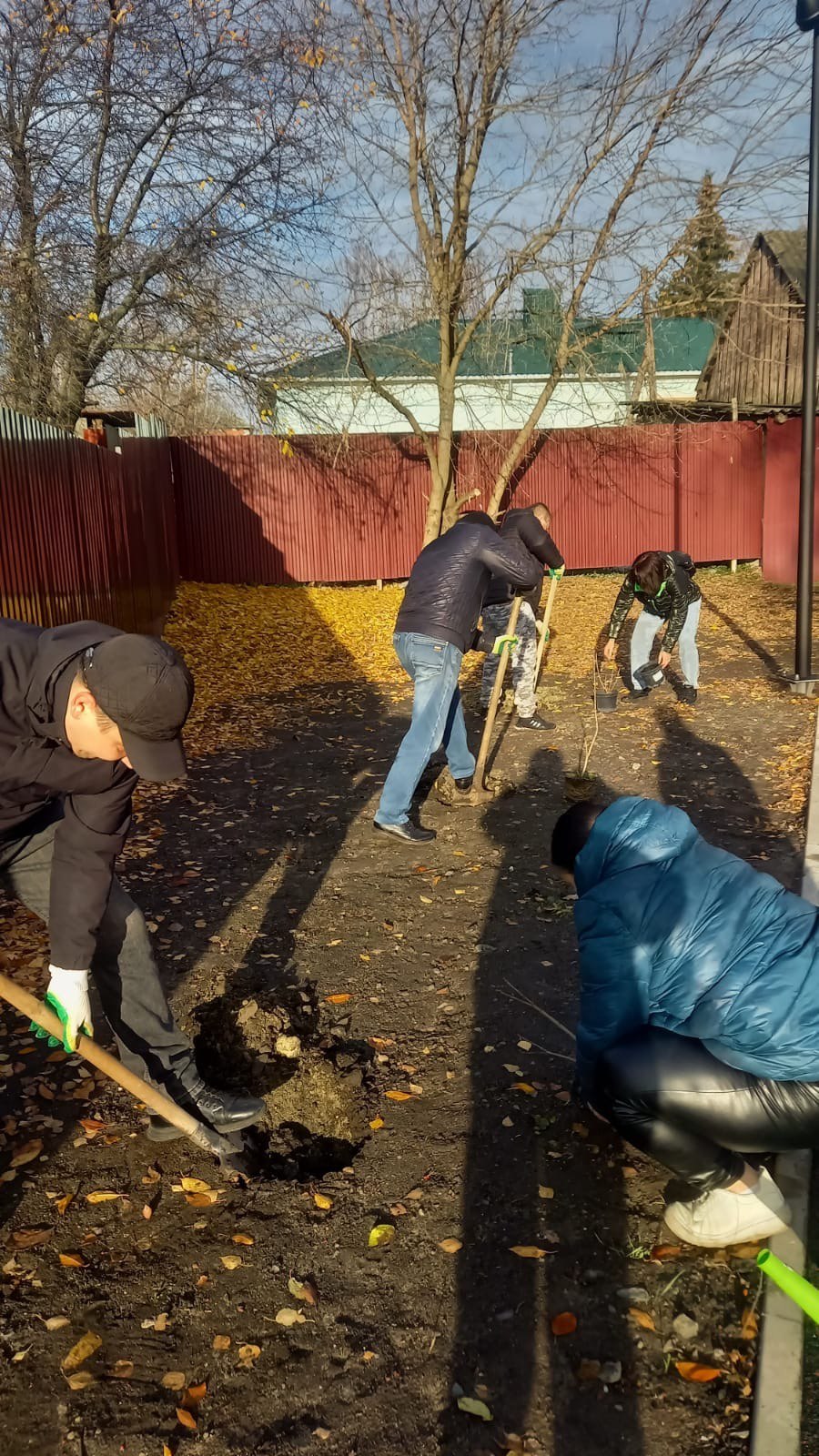 Озеленение Центральной площади в м. Свобода Озеленение Центральной площади в м. Свобода