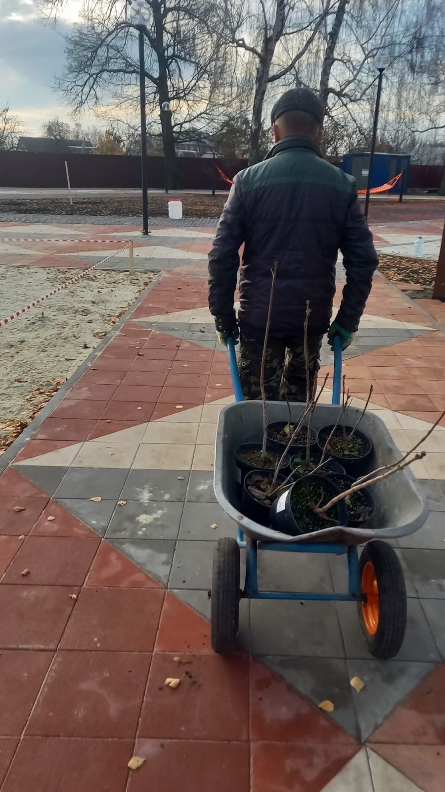 Озеленение Центральной площади в м. Свобода Озеленение Центральной площади в м. Свобода