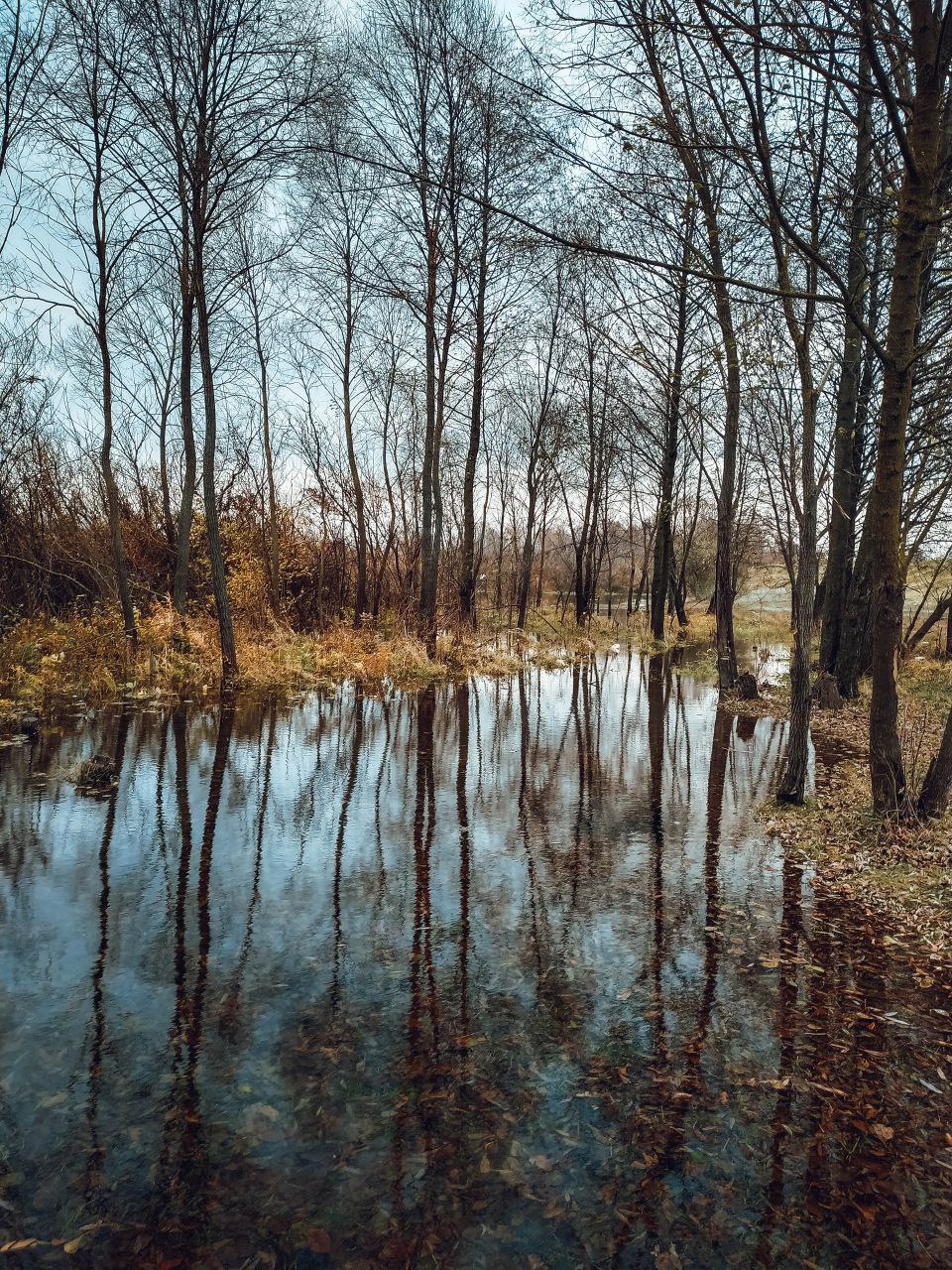 Доброе утро, друзья!. Вот и подошла к концу эта короткая рабочая неделя Доброе утро, друзья!. Вот и подошла к концу эта короткая рабочая неделя