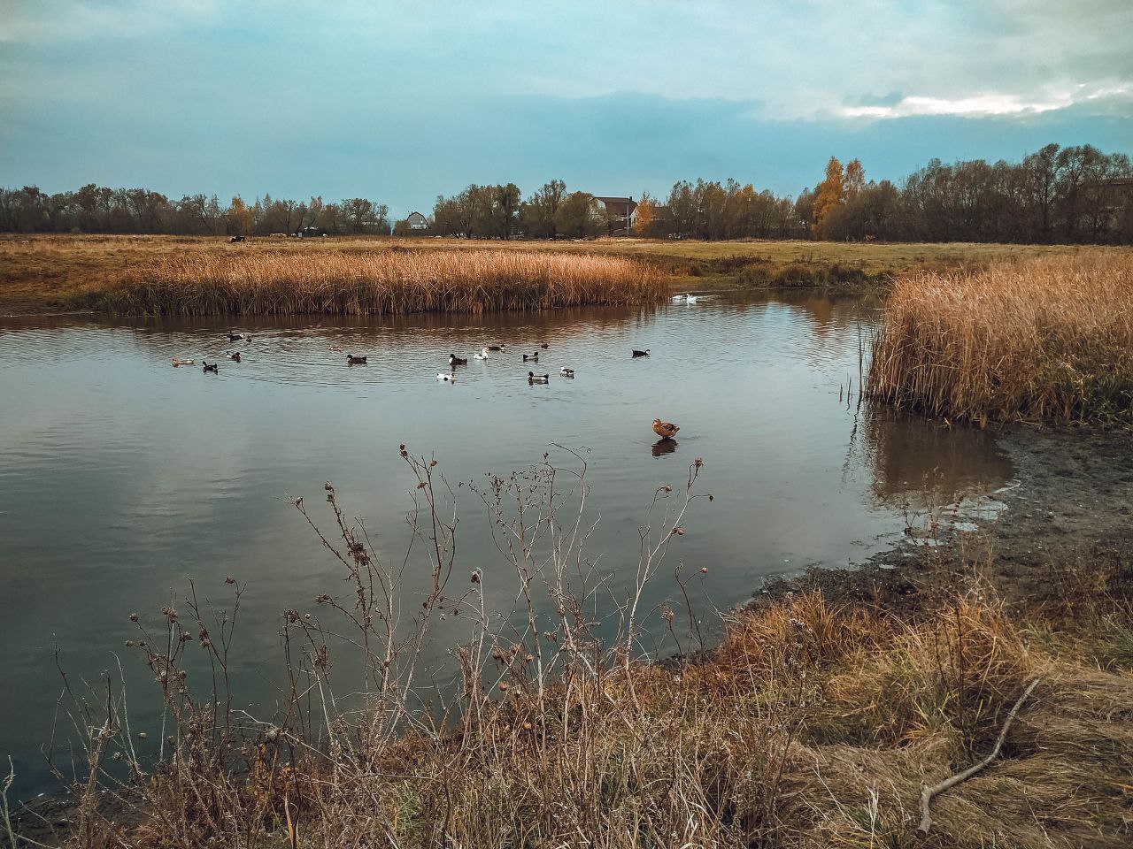 Доброе утро, друзья!. Вот и подошла к концу эта короткая рабочая неделя Доброе утро, друзья!. Вот и подошла к концу эта короткая рабочая неделя