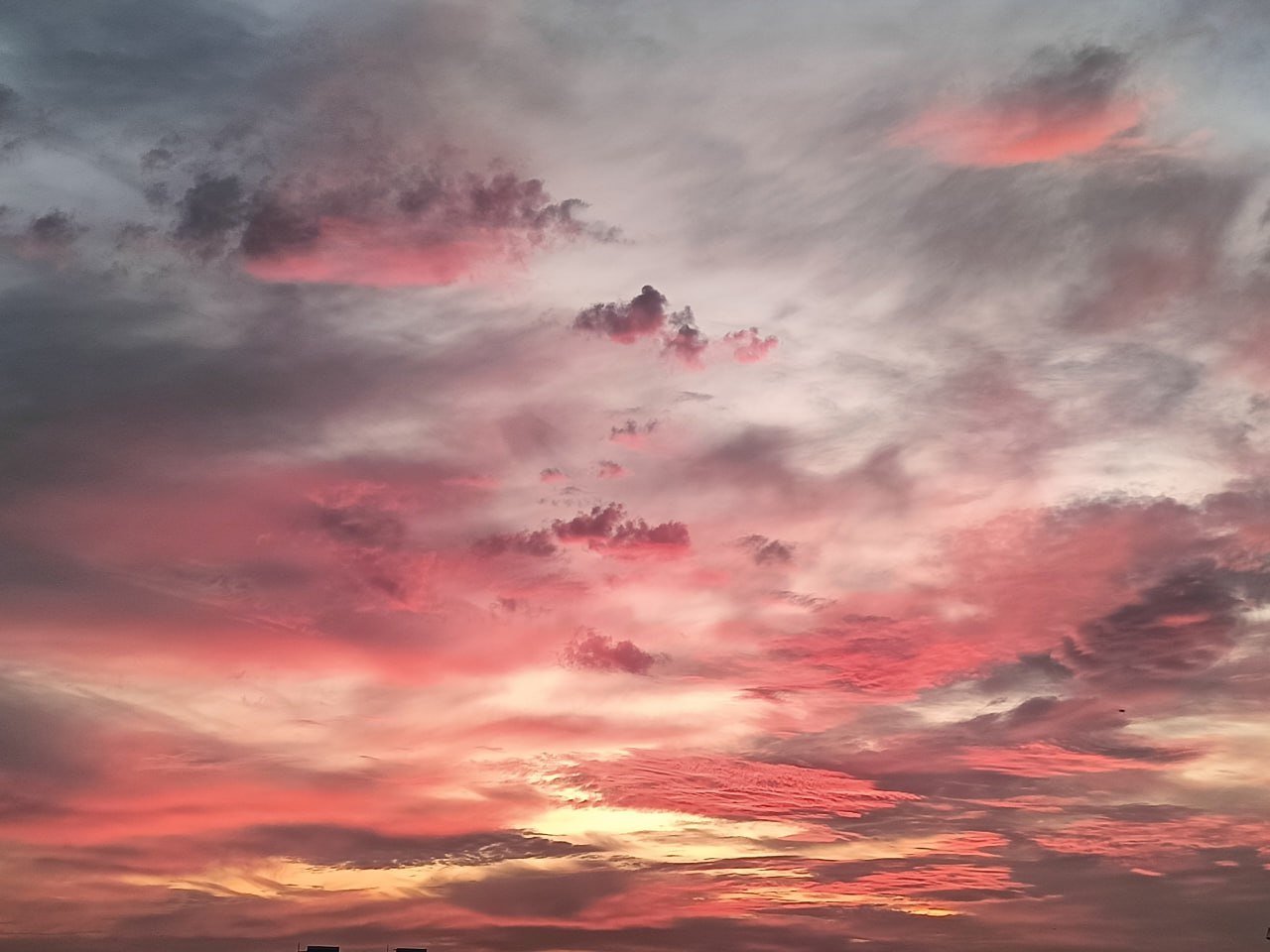 Ноябрьский рассвет. Фото: Елена Карманцева Ноябрьский рассвет. Фото: Елена Карманцева