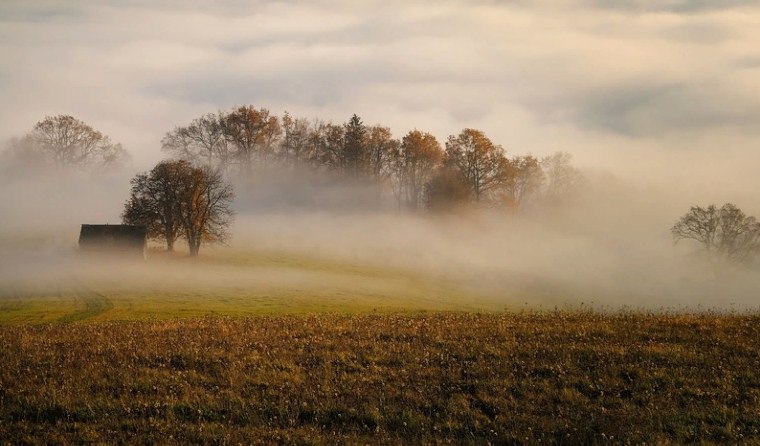 В Курской области 9 ноября ожидаются туманы и от нуля до +11 градусов