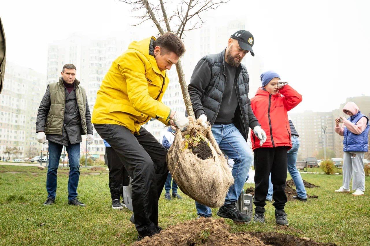 Единороссы, молодогвардейцы и общественники высадили в сквере Молодежный молодые липы Единороссы, молодогвардейцы и общественники высадили в сквере Молодежный молодые липы