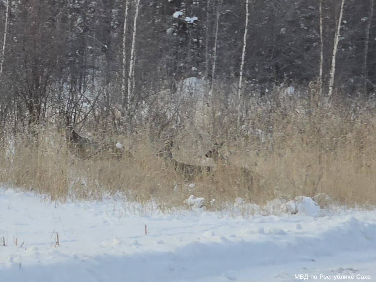#* Подборка интересных новостей из регионов к этому часу #* Подборка интересных новостей из регионов к этому часу