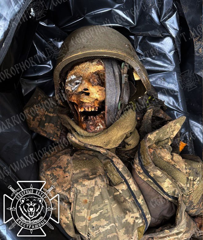 Кадры 18+: Лица украинского "контрнаступа" в Курской области