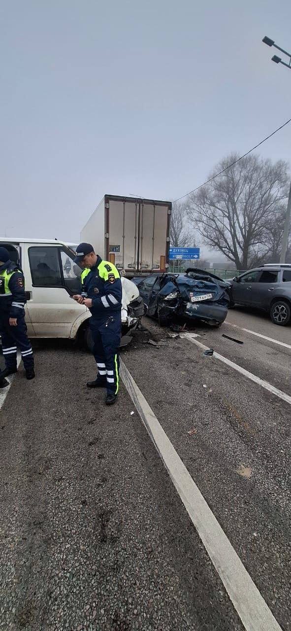 Семь человек пострадали в ДТП с микроавтобусом в Курской области Семь человек пострадали в ДТП с микроавтобусом в Курской области