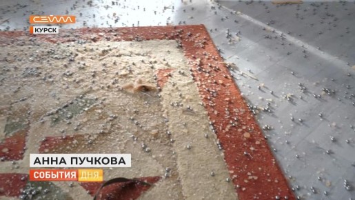 После ночной атаки беспилотников ВСУ на Курск комиссия провела подомовый обход - по поручению главы региона Александра Хинштейна