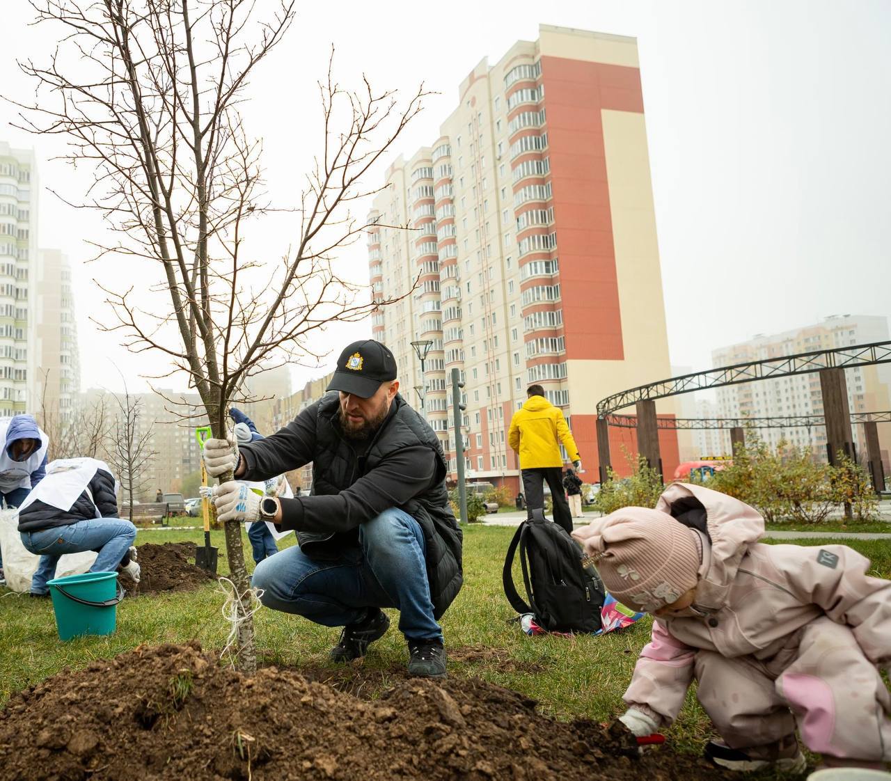 Сегодня в курском сквере «Молодёжный» высадили первые 17 лип