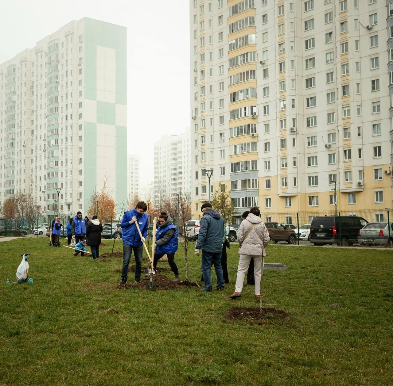 Сегодня в курском сквере «Молодёжный» высадили первые 17 лип Сегодня в курском сквере «Молодёжный» высадили первые 17 лип