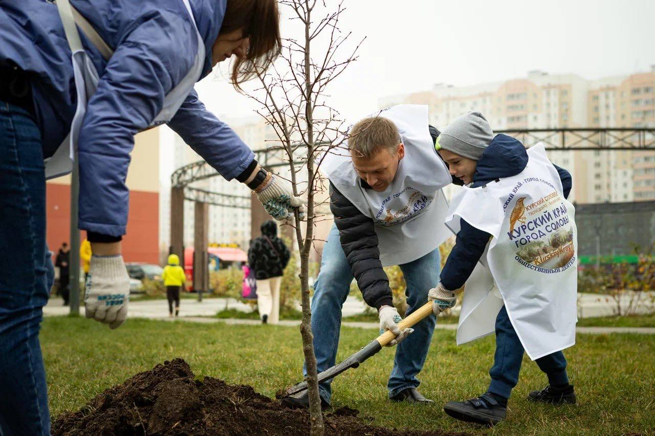 Единороссы, молодогвардейцы и общественники высадили в сквере Молодежный молодые липы Единороссы, молодогвардейцы и общественники высадили в сквере Молодежный молодые липы