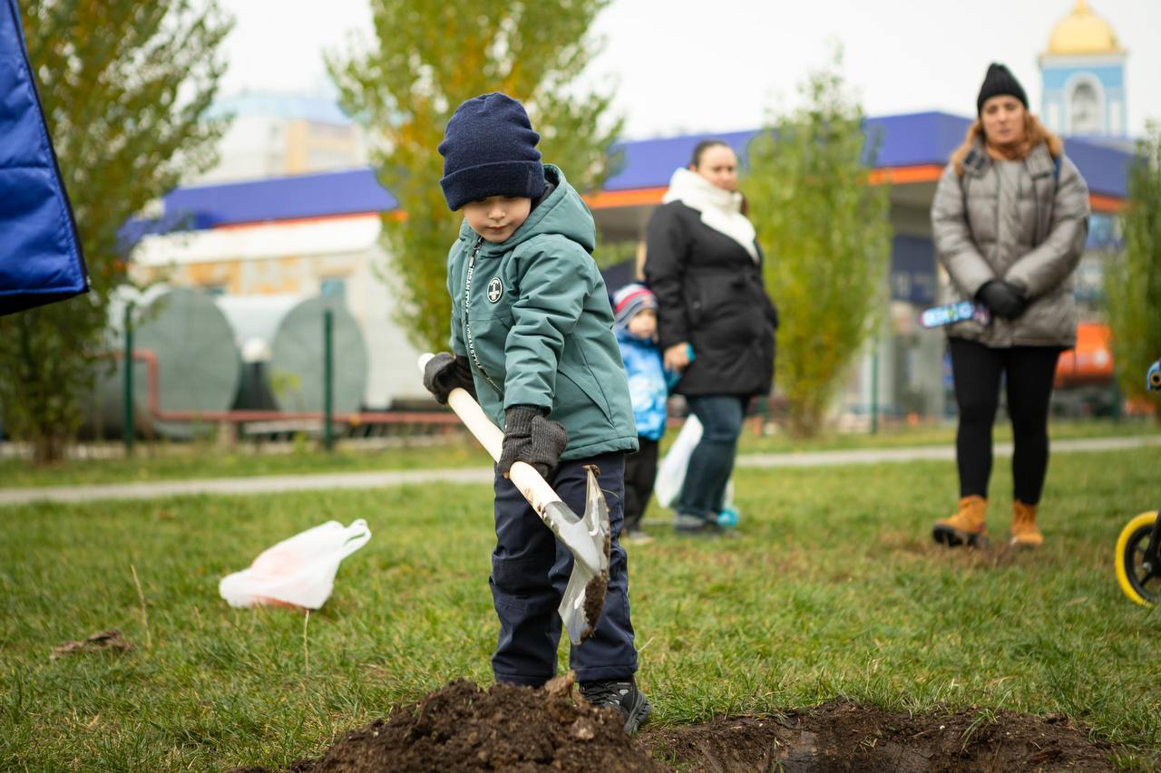Сегодня в курском сквере «Молодёжный» высадили первые 17 лип Сегодня в курском сквере «Молодёжный» высадили первые 17 лип