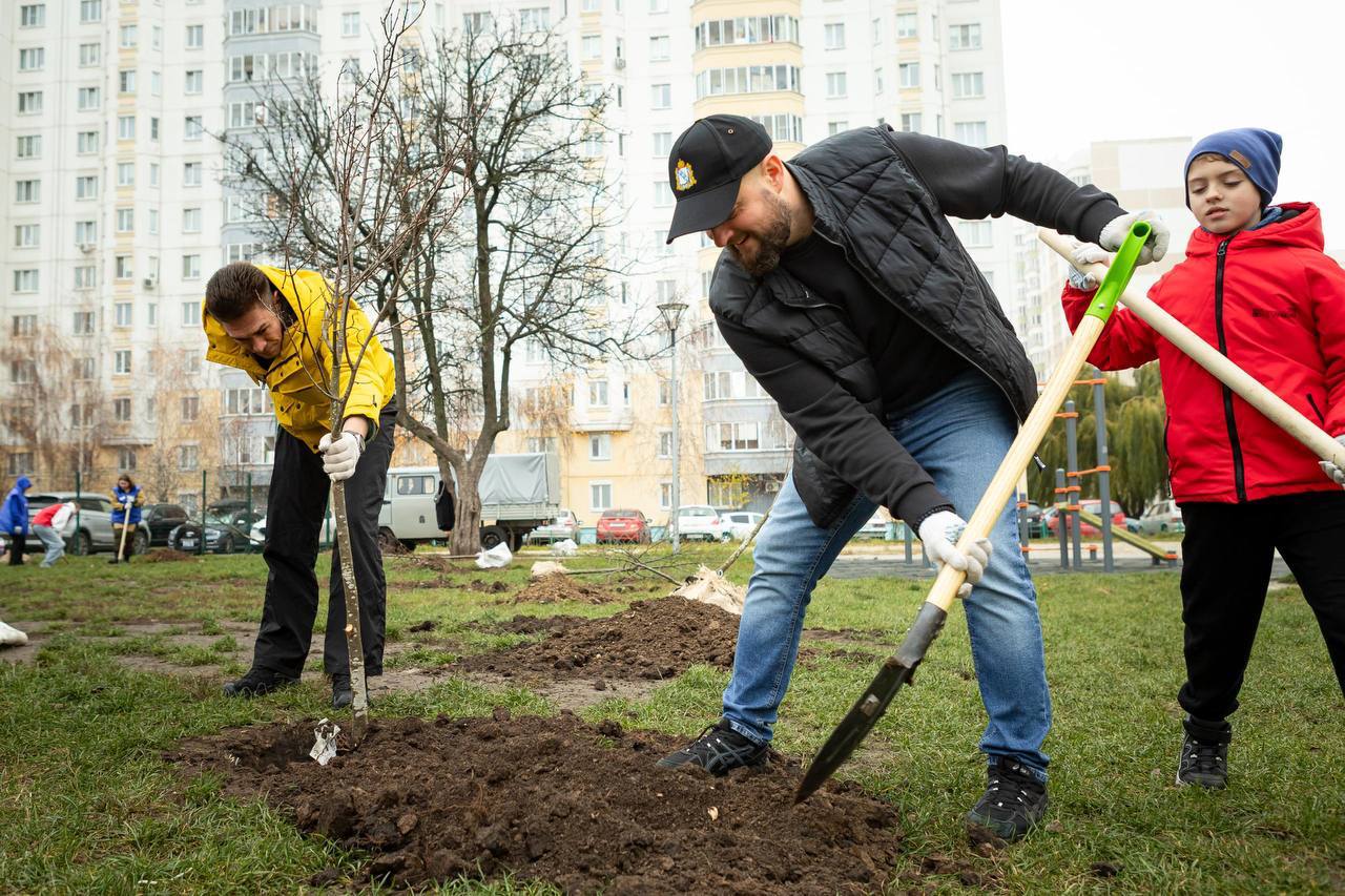 Сегодня в курском сквере «Молодёжный» высадили первые 17 лип Сегодня в курском сквере «Молодёжный» высадили первые 17 лип