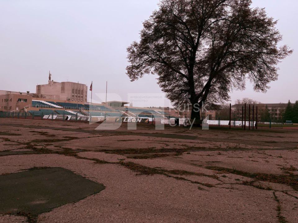 На «Трудовых резервах» планируют отремонтировать вход