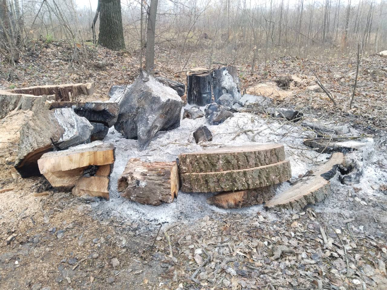 Сегодня посетил любимый горожанами парк «Боевая дача» Сегодня посетил любимый горожанами парк «Боевая дача»