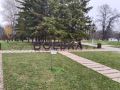 Сегодня посетил любимый горожанами парк «Боевая дача»
