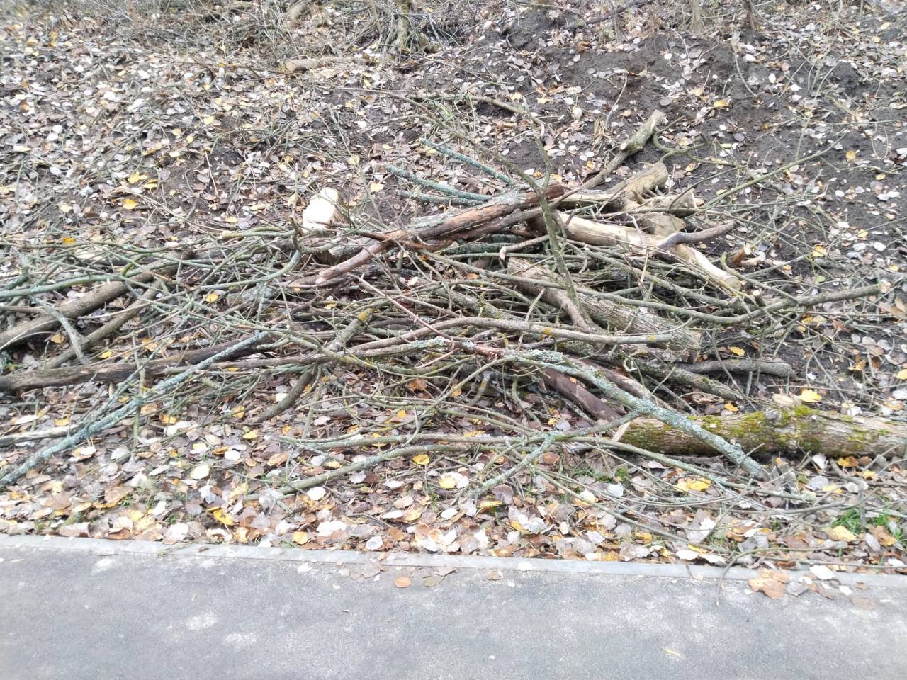 Сегодня посетил любимый горожанами парк «Боевая дача» Сегодня посетил любимый горожанами парк «Боевая дача»