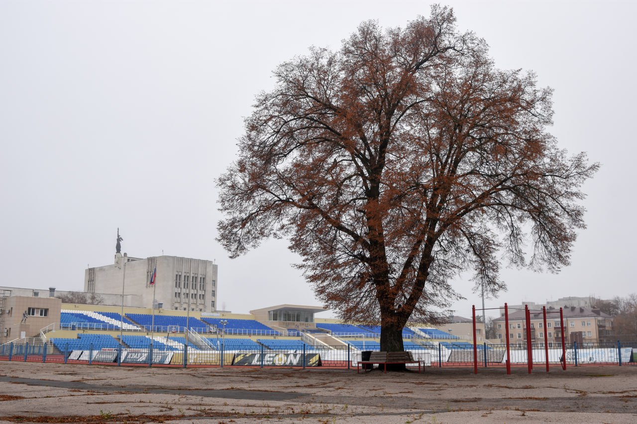 Губернатор недоволен закрытым для курян стадионом Губернатор недоволен закрытым для курян стадионом