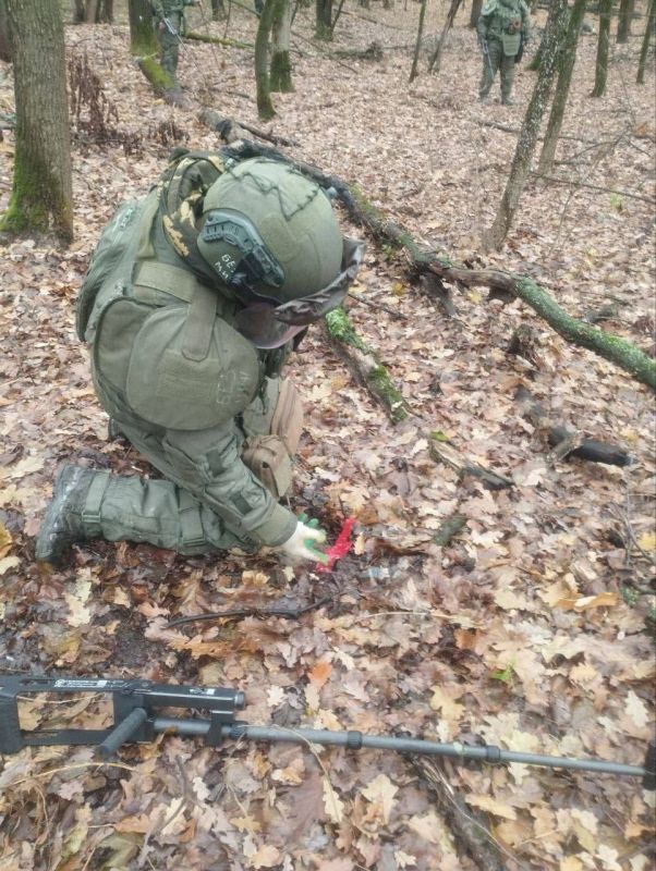 Бригада «БАРС-Курск» разминировала почти 200 гектаров за неделю