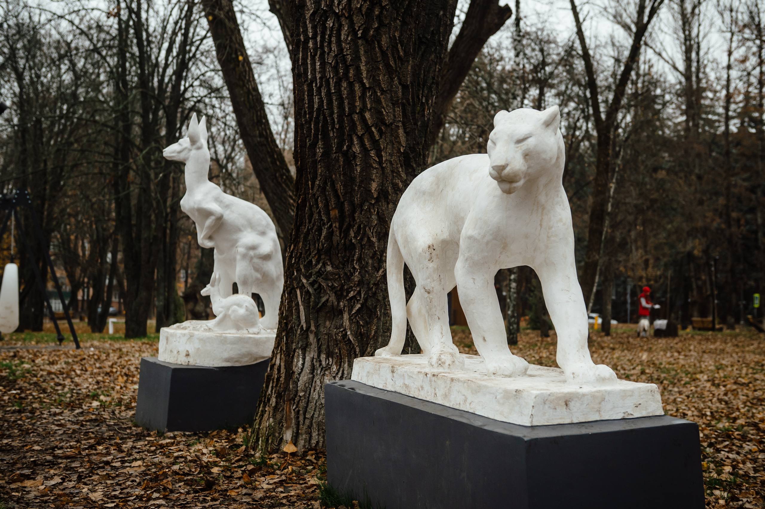 Александр Хинштейн: Провел воскресный объезд по Курску с главой города и другими коллегами Александр Хинштейн: Провел воскресный объезд по Курску с главой города и другими коллегами