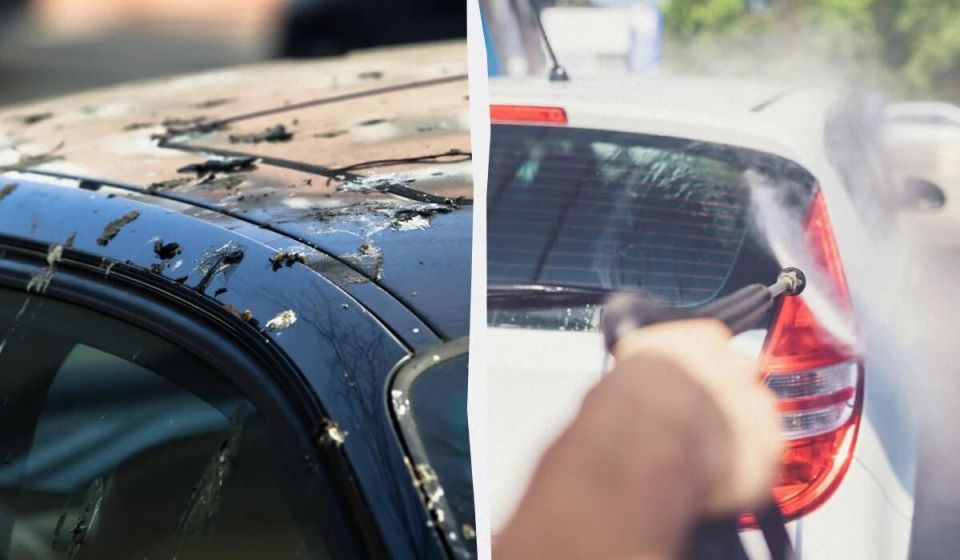 Как уберечь свой автомобиль от птичьего помета?