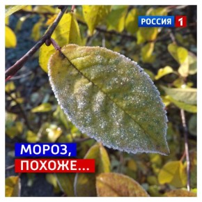 11 , .          ,  - !   ,     