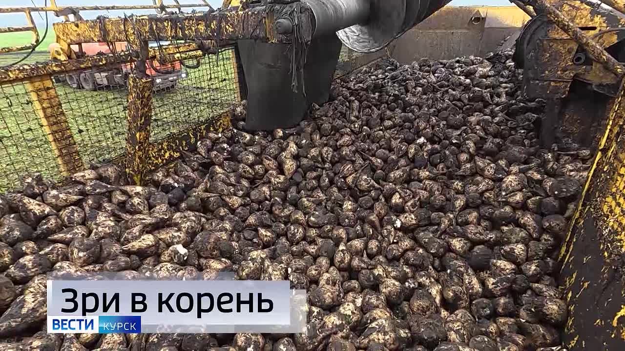 11111 Главные темы выпуска «Вестей Курск» — через несколько минут в нашем эфире: