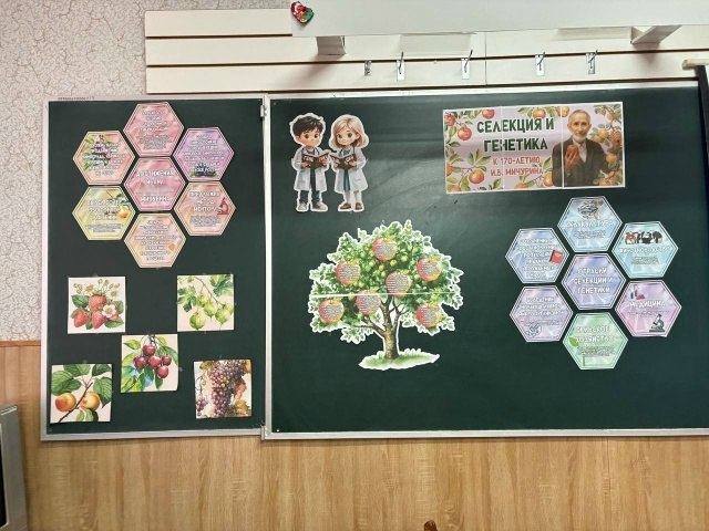 В Новопоселеновской школе прошло познавательное занятие из цикла "Разговоры о важном" В Новопоселеновской школе прошло познавательное занятие из цикла "Разговоры о важном"