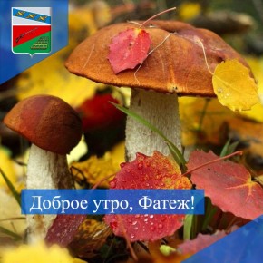 ДОБРОЕ УТРО. Пусть ваш день будет наполнен яркими моментами и добрыми встречами