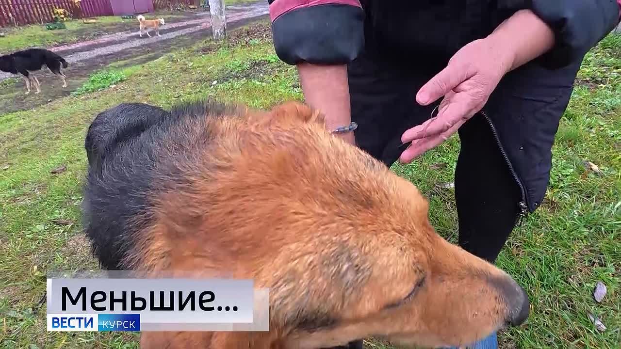 11111 Главные темы выпуска «Вестей Курск» — через несколько минут в нашем эфире: