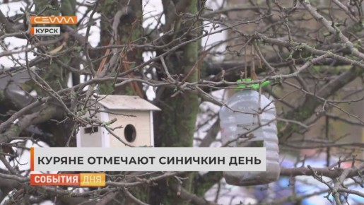 Как привлечь счастье в свой дом? Согласно древней традиции, для этого достаточно покормить птицу, и тогда благополучие на весь год гарантировано!