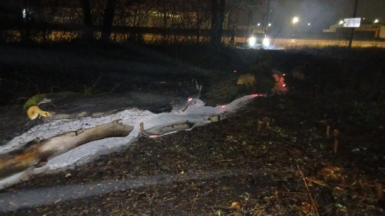 Сотрудники Минприроды продолжают искать источники неприятного запаха на улицах Курска Сотрудники Минприроды продолжают искать источники неприятного запаха на улицах Курска