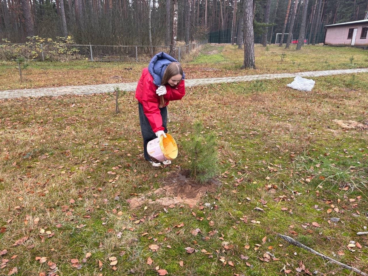 А вы знали? В рамках проекта «Походы Первых» ребята Первичного отделения Движения Первых лицея № 12 оказали помощь работникам спортивно-оздоровительного лагеря «Олимпиец» в посадке на территории лагеря саженцев сосны А вы знали? В рамках проекта «Походы Первых» ребята Первичного отделения Движения Первых лицея № 12 оказали помощь работникам спортивно-оздоровительного лагеря «Олимпиец» в посадке на территории лагеря саженцев сосны