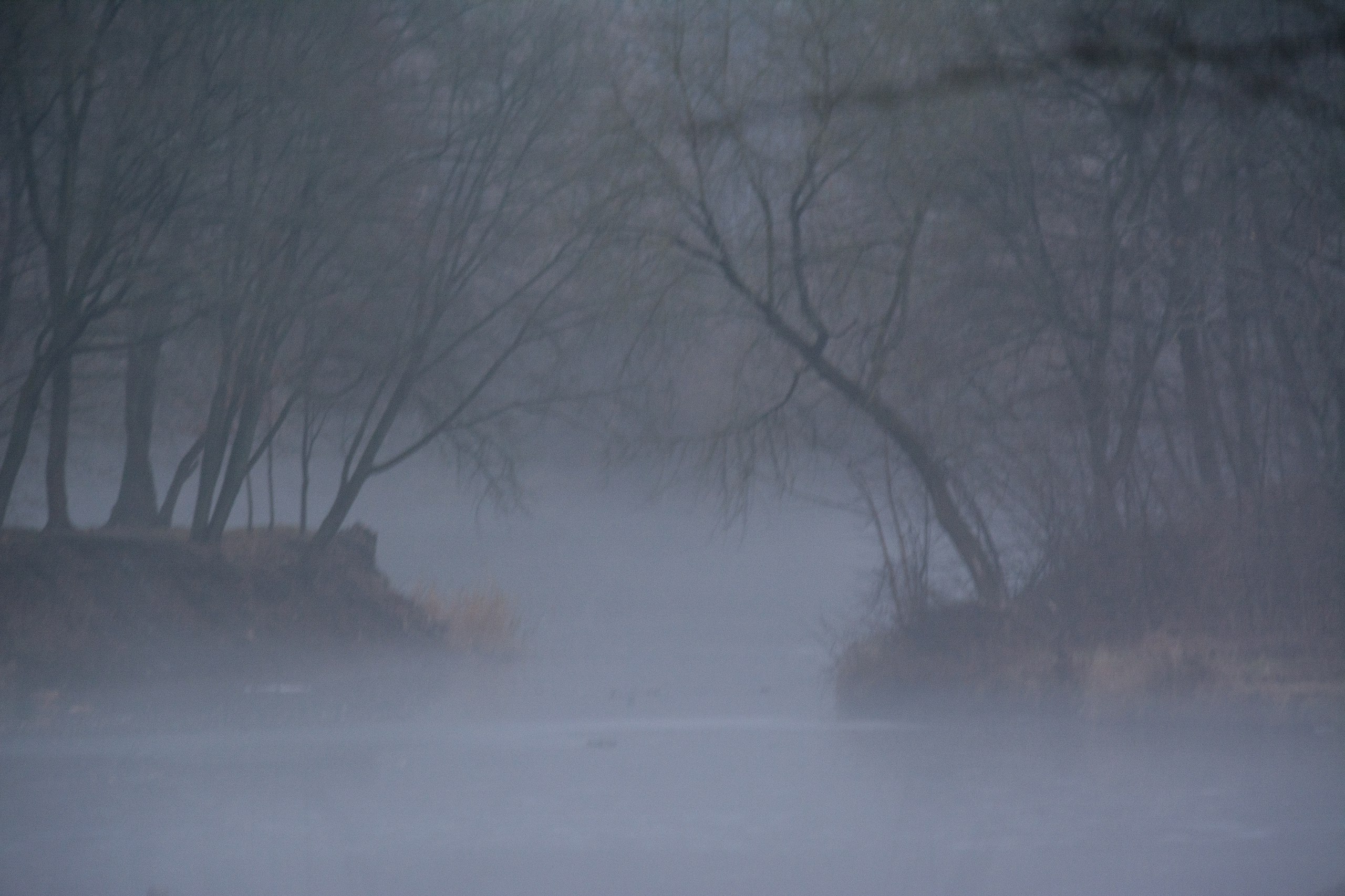 Доброе утро, друзья!. В ближайшее время погода останется стабильно теплой