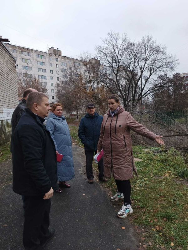 Вопрос с упавшим деревом у школы № 38 в Курске решат до конца месяца