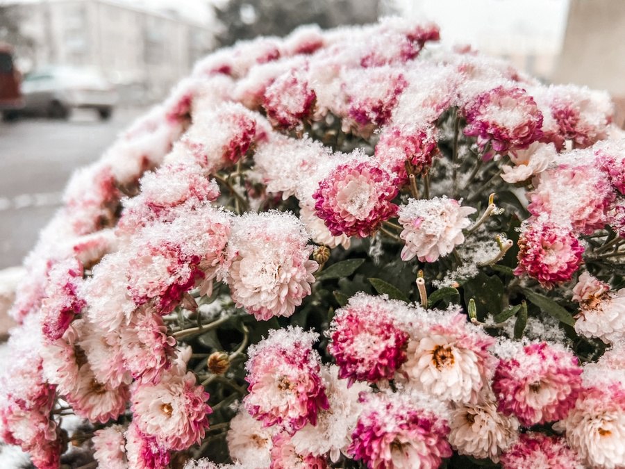 Волновой циклон принесет к выходным в Курскую область дождь со снегом