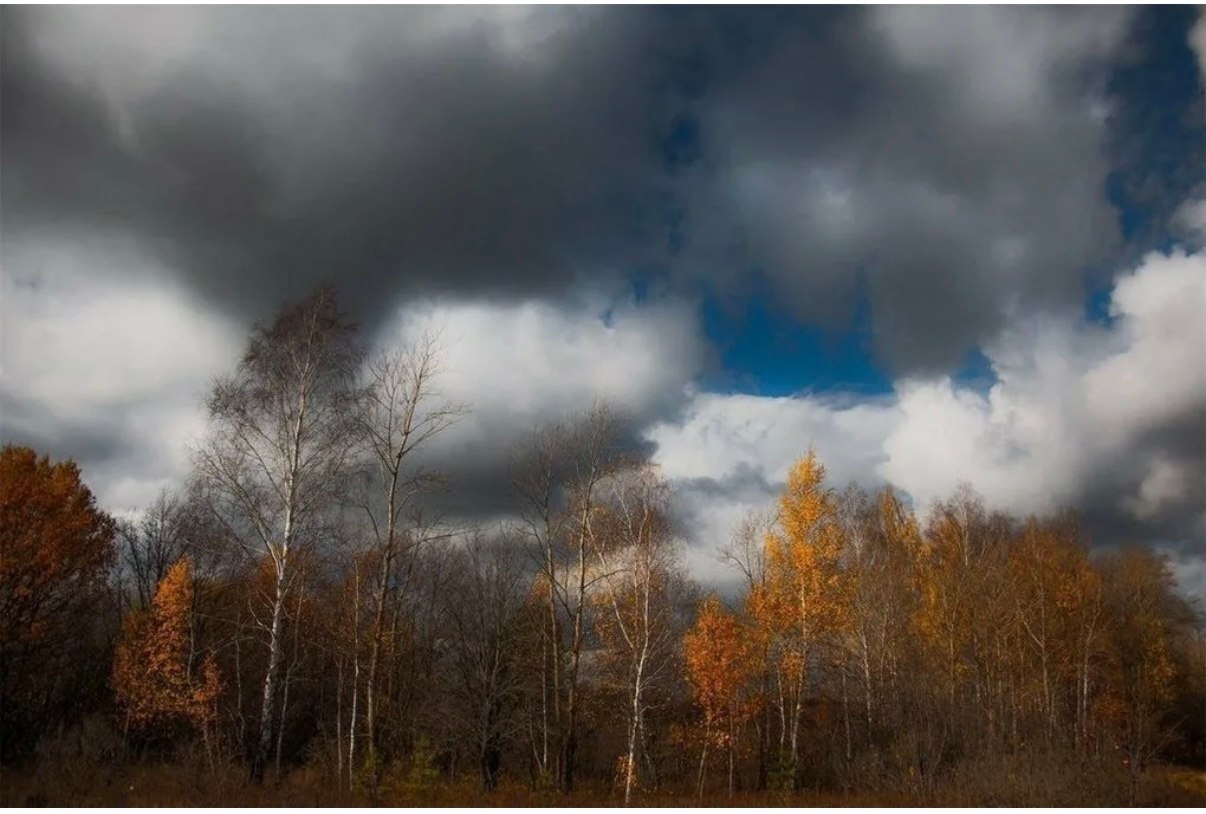 Доброе утро!. Сегодня, в четверг, 13 ноября, по прогнозу регионального отделения МЧС, в Курской области облачно