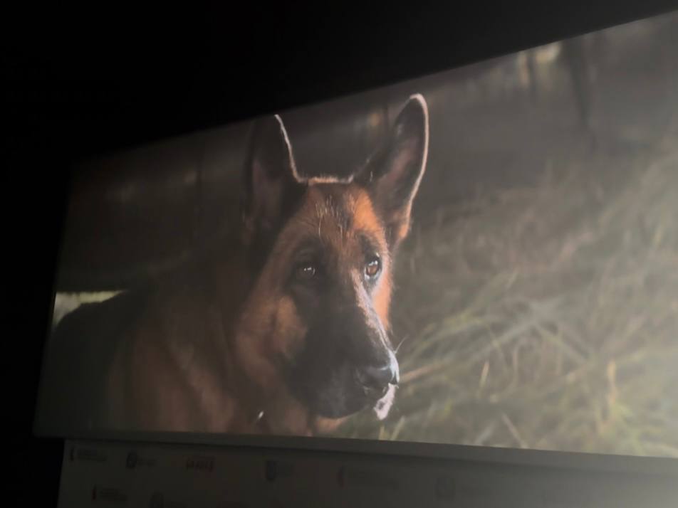 Курская область присоединилась к Всероссийской акции «Кино в каждом звуке» Курская область присоединилась к Всероссийской акции «Кино в каждом звуке»