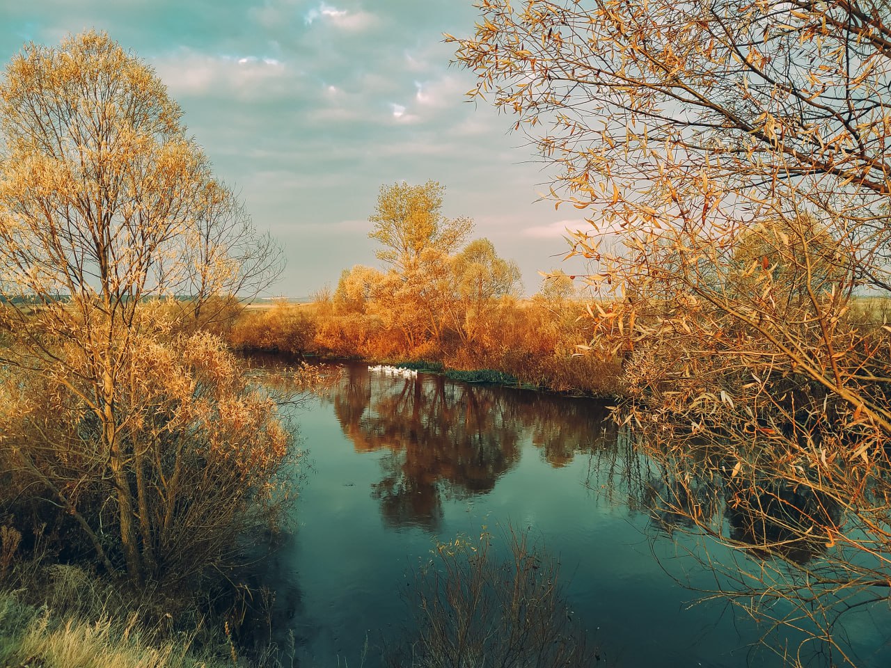 Доброе утро! Рабочая неделя подходит к концу Доброе утро! Рабочая неделя подходит к концу