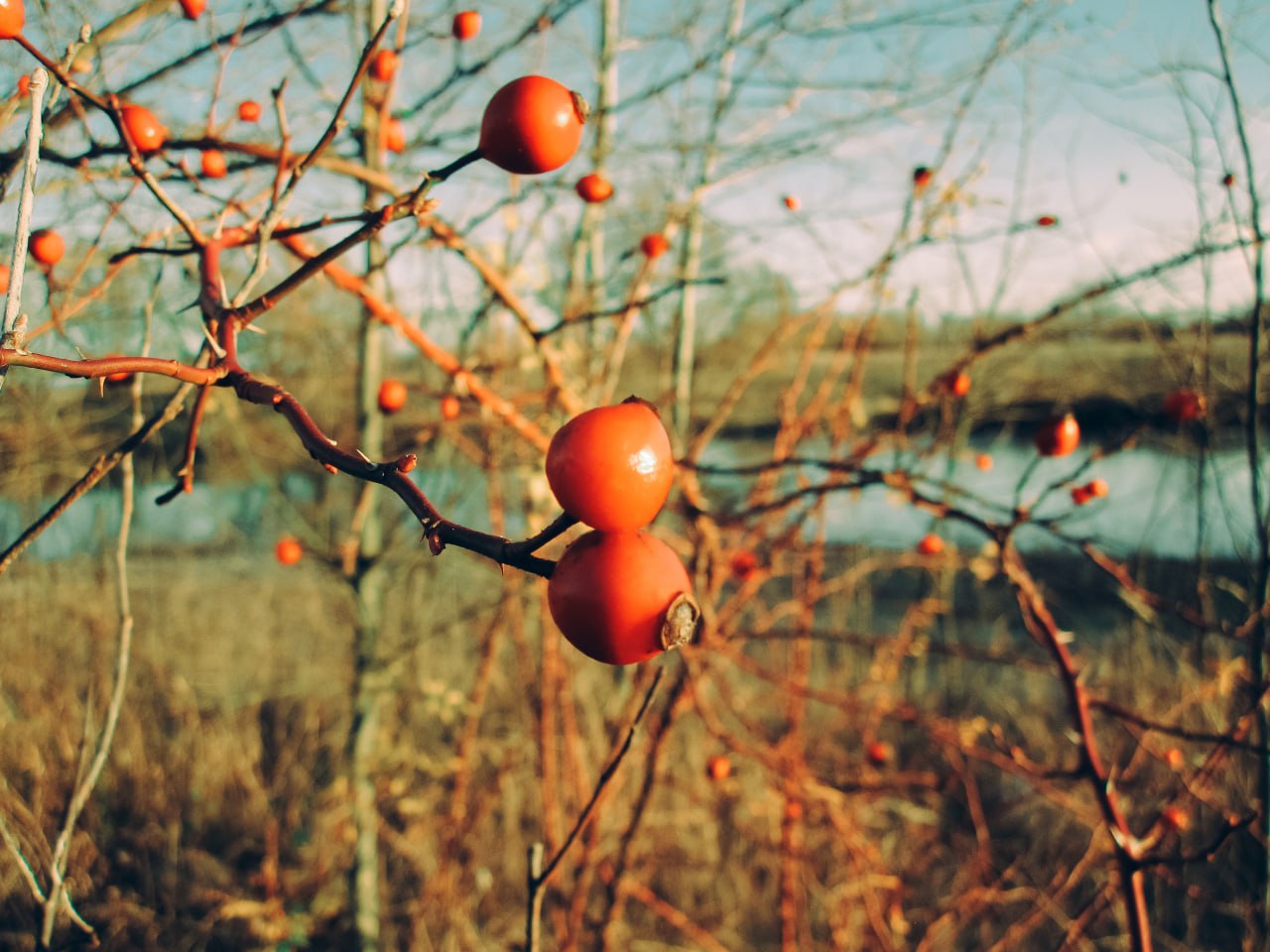 Доброе утро! Рабочая неделя подходит к концу