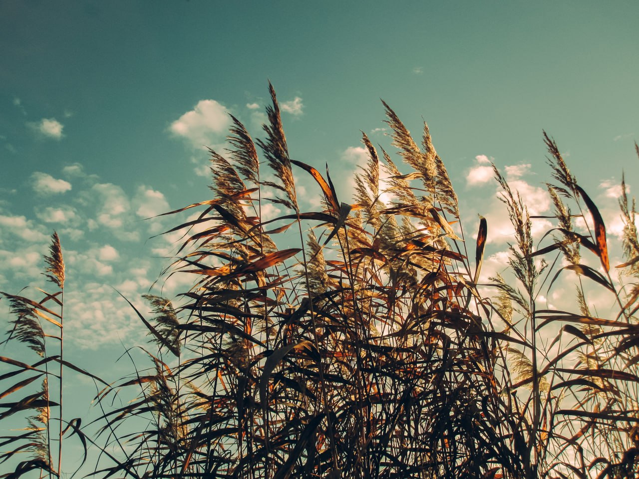 Доброе утро! Рабочая неделя подходит к концу Доброе утро! Рабочая неделя подходит к концу