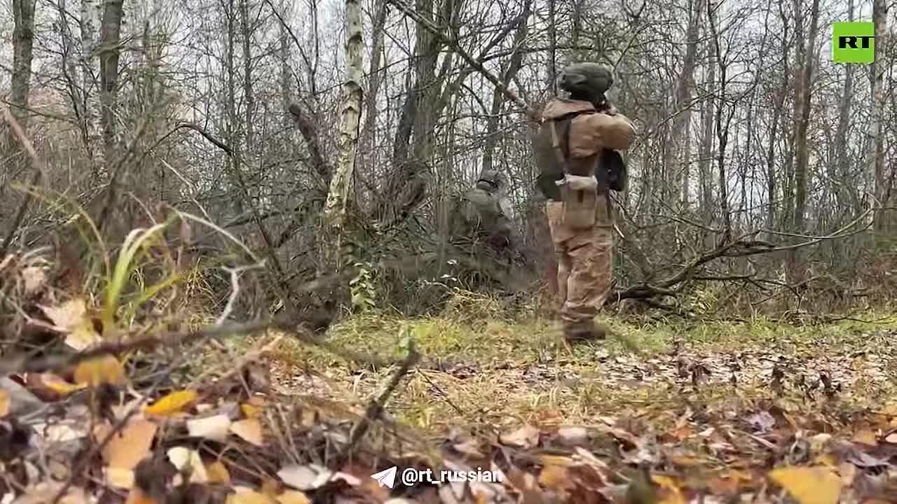 РФ никогда не забудет помощи КНДР в опасной и сложной работе по разминированию Курской области, подчеркнул Песков