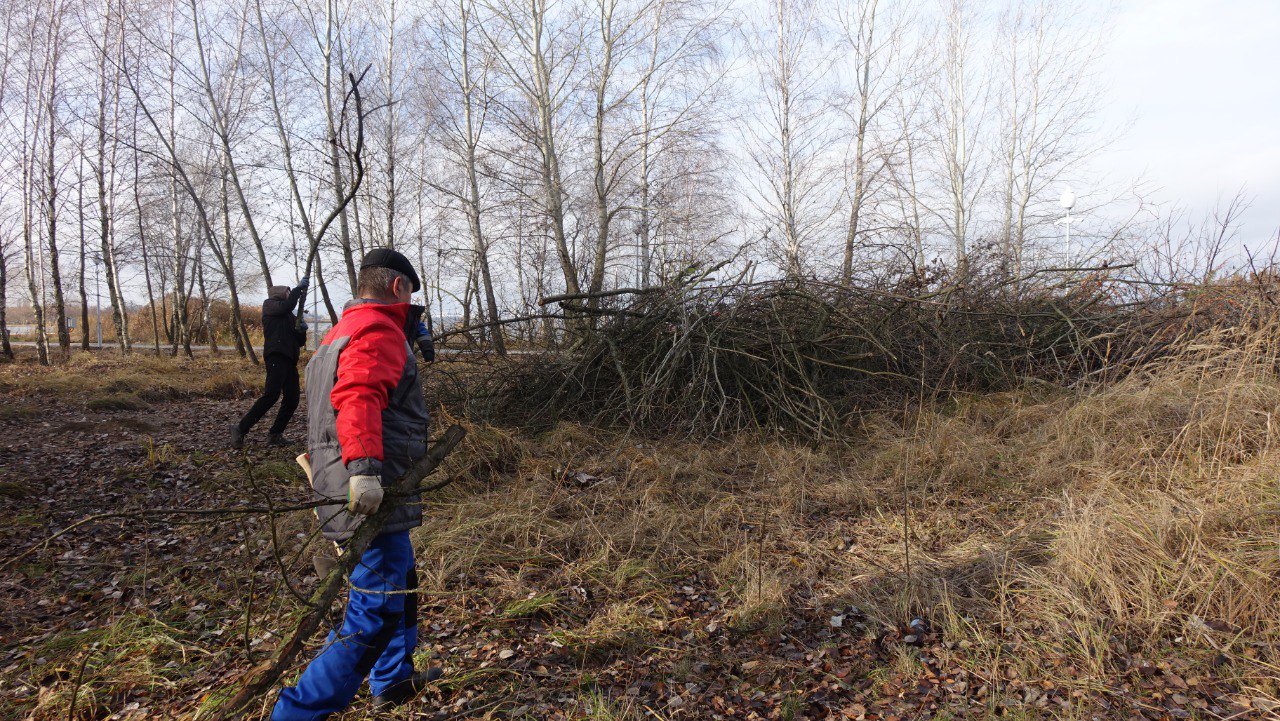 Игорь Корпунков: Проведение еженедельных субботников на территории, прилегающей к «Теплому берегу – 3.0», это не только прекрасный способ навести здесь порядок, но и поднять настроение, размяться на свежем воздухе! Игорь Корпунков: Проведение еженедельных субботников на территории, прилегающей к «Теплому берегу – 3.0», это не только прекрасный способ навести здесь порядок, но и поднять настроение, размяться на свежем воздухе!