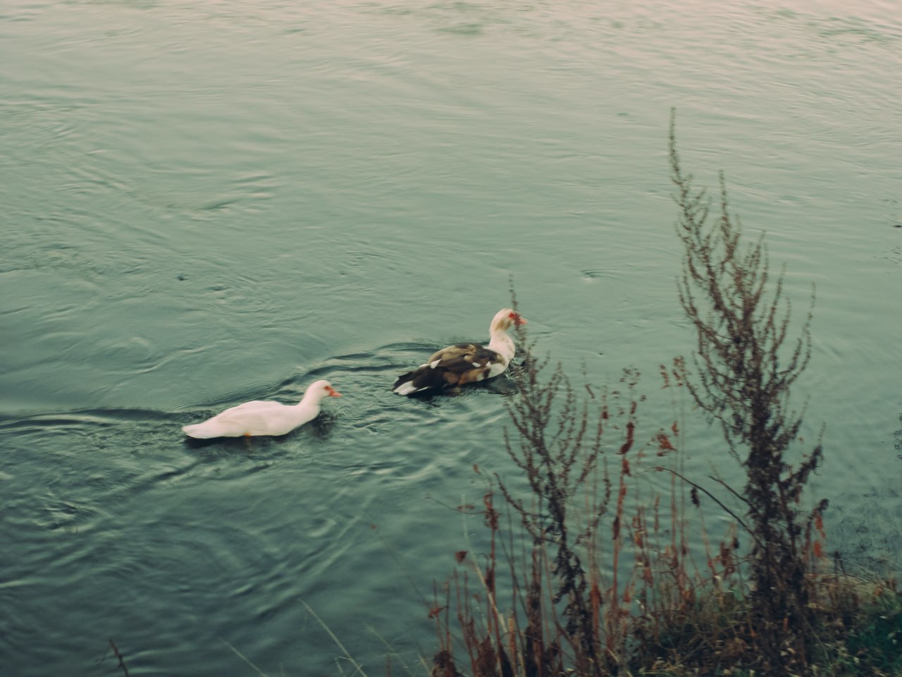 Доброе утро! Рабочая неделя подходит к концу Доброе утро! Рабочая неделя подходит к концу